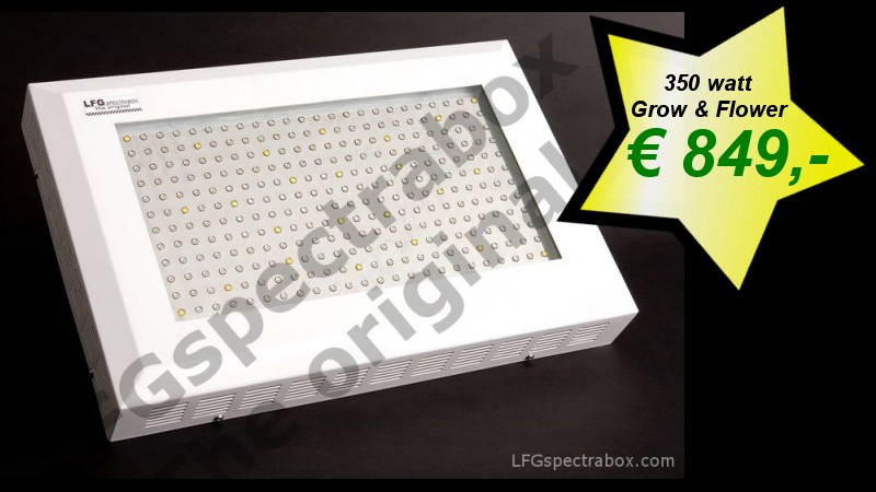 LFG spectrabox pro 350 watt