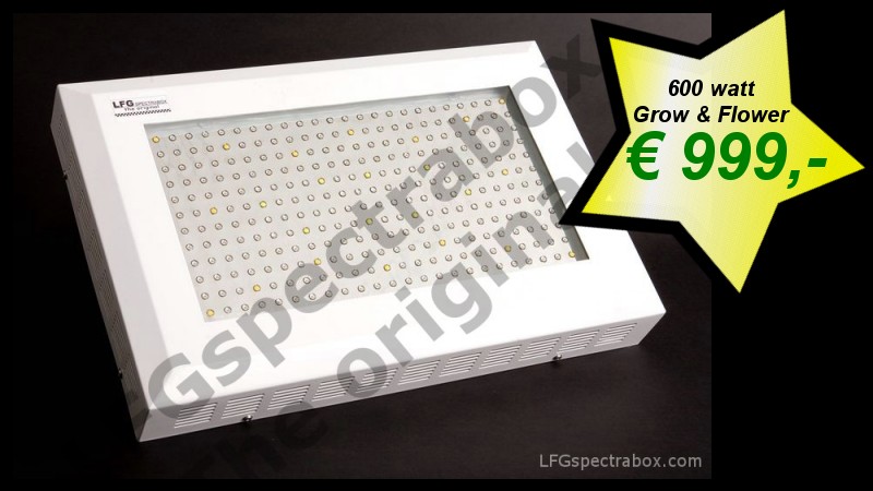 LFG spectrabox pro 600 watt